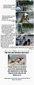 israel,terrorist (6)